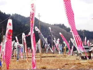 2008koinobori_a