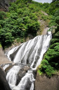 新緑の袋田の滝