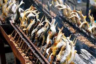 鮎のつかみどり大会