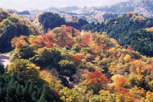 袋田の滝・月居山コース