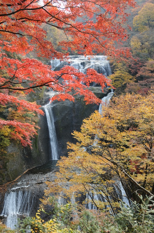 袋田の滝