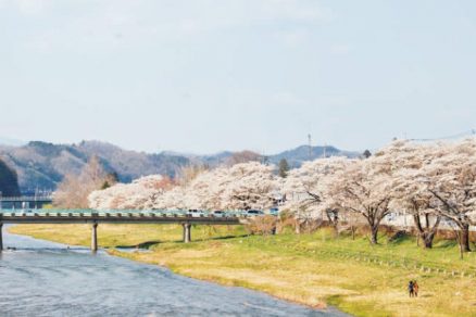 久慈川並木