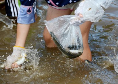  鮎のつかみどり大会