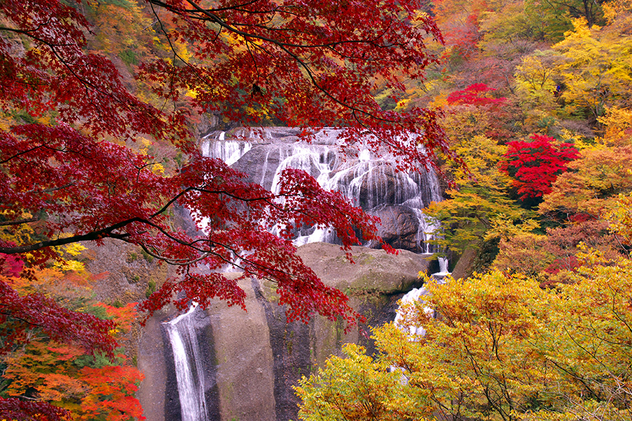 袋田の滝_秋