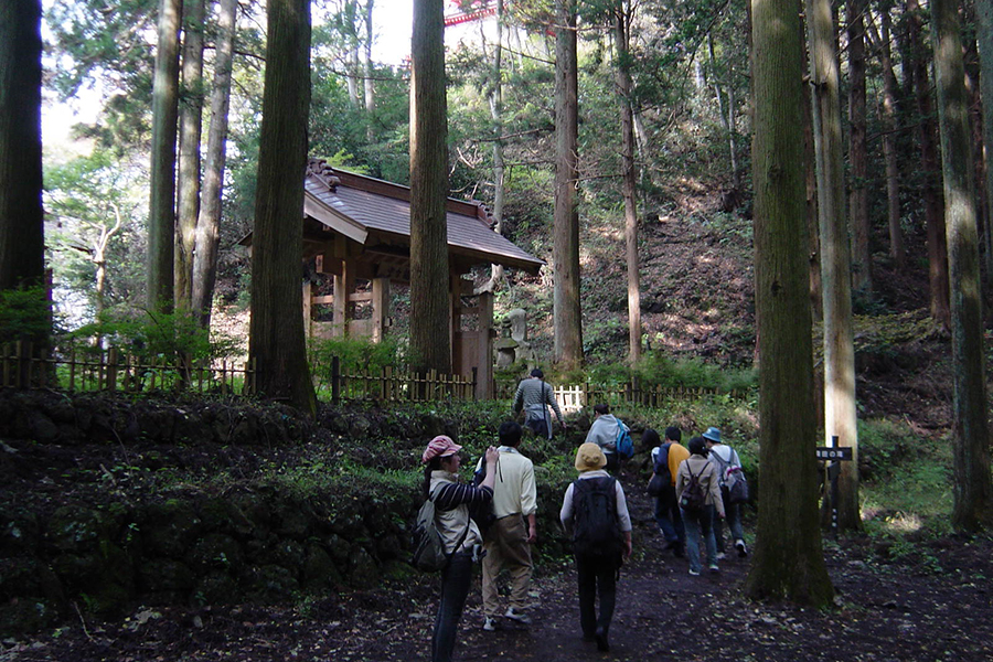 月居山ハイキング