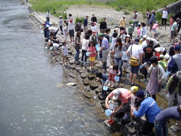 稚鮎放流事業「こどもの日 久慈川に鮎を放そう!」