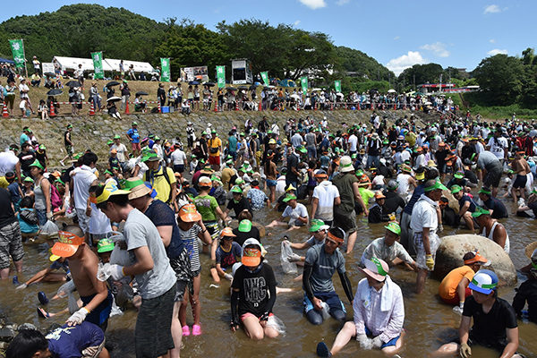 鮎のつかみどり大会2