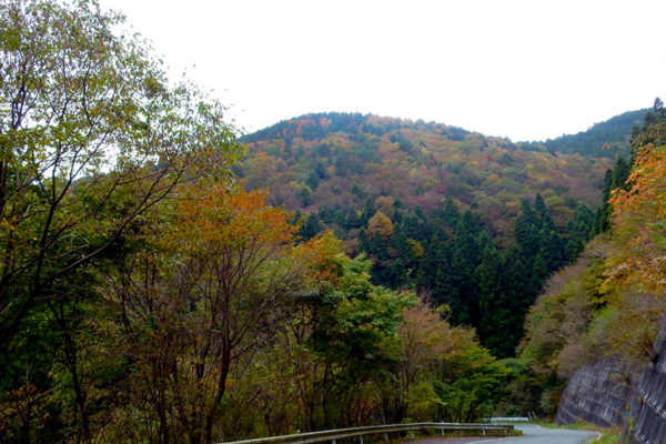 八溝山 2019年10月31日撮影