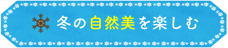 冬の自然美を楽しむ