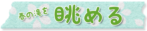 眺める