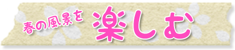 楽しむ