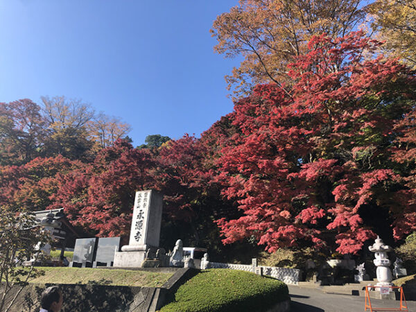 2020.11.5 永源寺