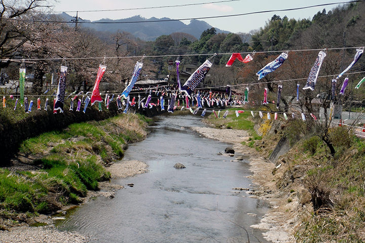 袋田の滝アユと鯉のぼり