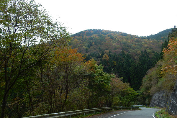 八溝山