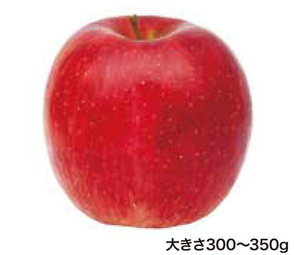 陽光