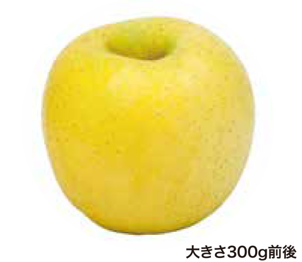 シナノゴールド