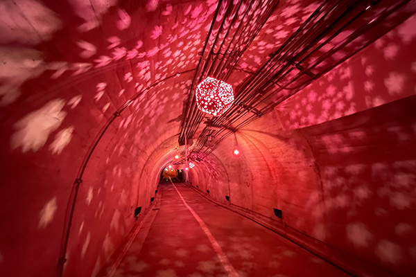 光のトンネル2021