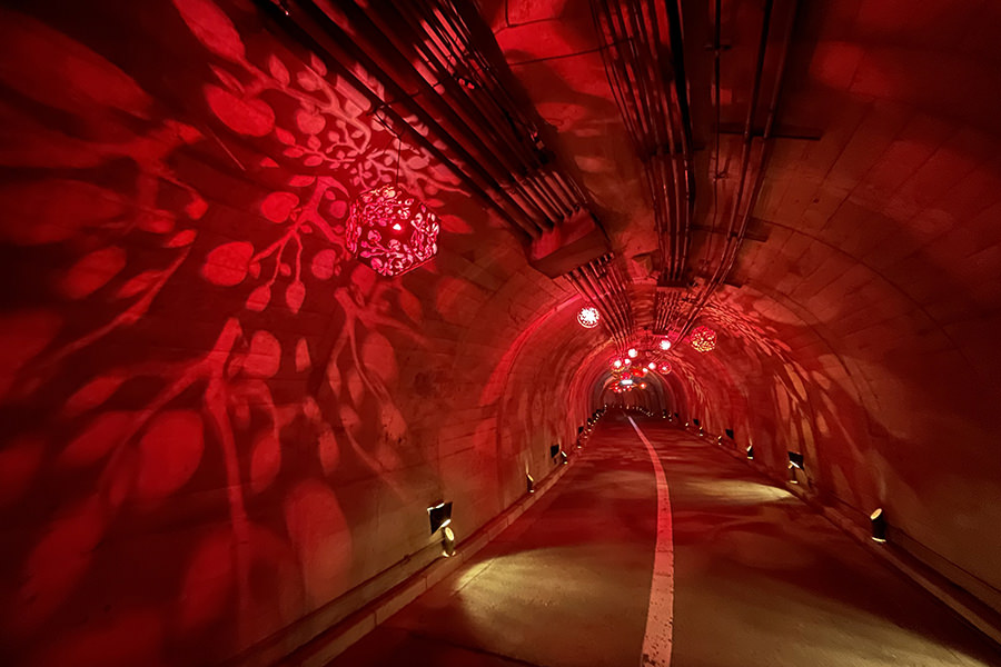 光のトンネル2022