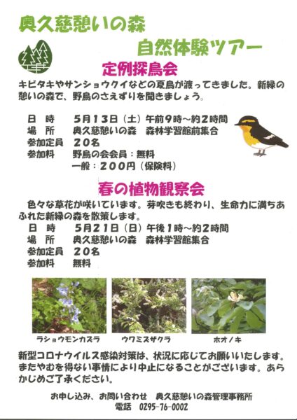 奥久慈憩いの森 自然体験ツアー「春の植物観察会」