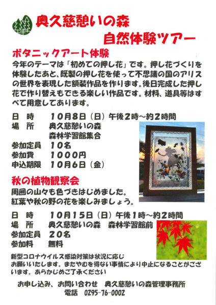 奥久慈憩いの森 10月の自然体験ツアー