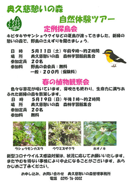 奥久慈憩いの森 5月の自然体験ツアー
