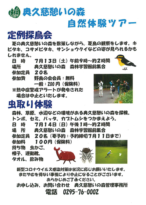 奥久慈憩いの森 5月の自然体験ツアー