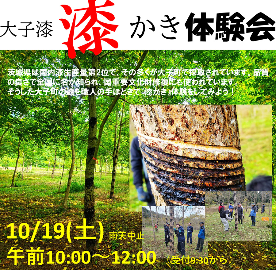 令和6年度 大子漆 漆かき体験会開催