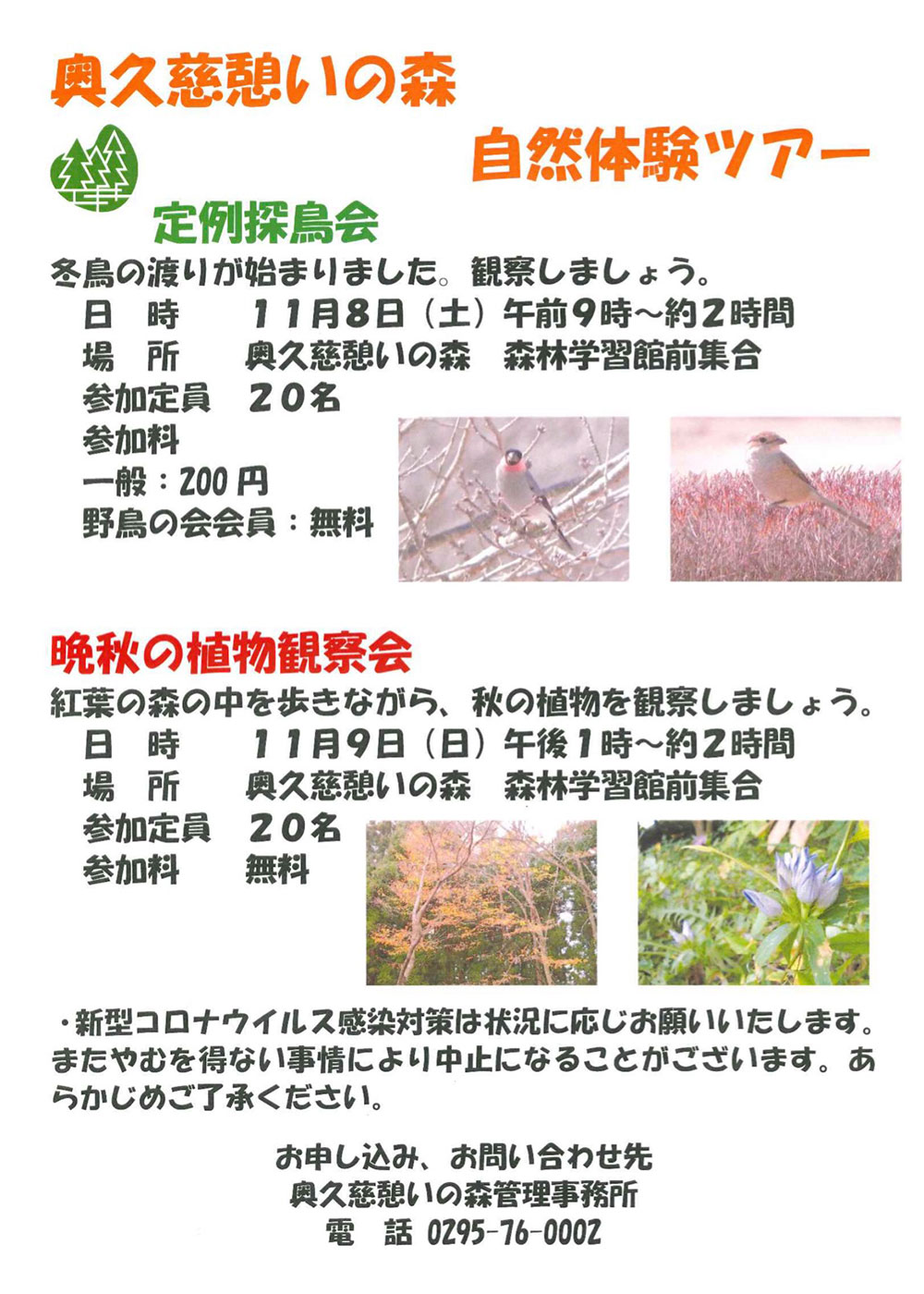 自然体験ツアー