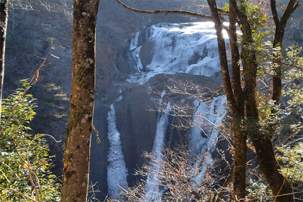 frozen202602124 | 大子町観光協会