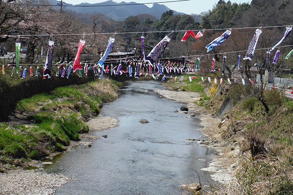 第20回袋田の滝あゆと鯉のぼり