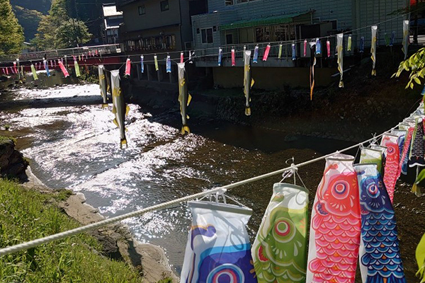 第20回袋田の滝あゆと鯉のぼり