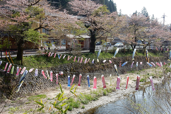 第20回袋田の滝あゆと鯉のぼり